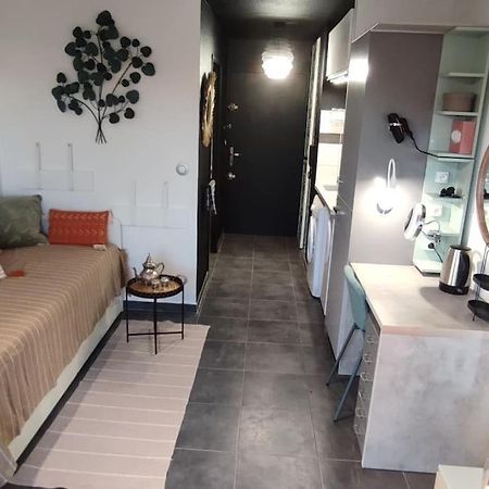 Caducee Studio Climatise Balcon Ensoleille Parking Nord Montpellier Grabels Εξωτερικό φωτογραφία